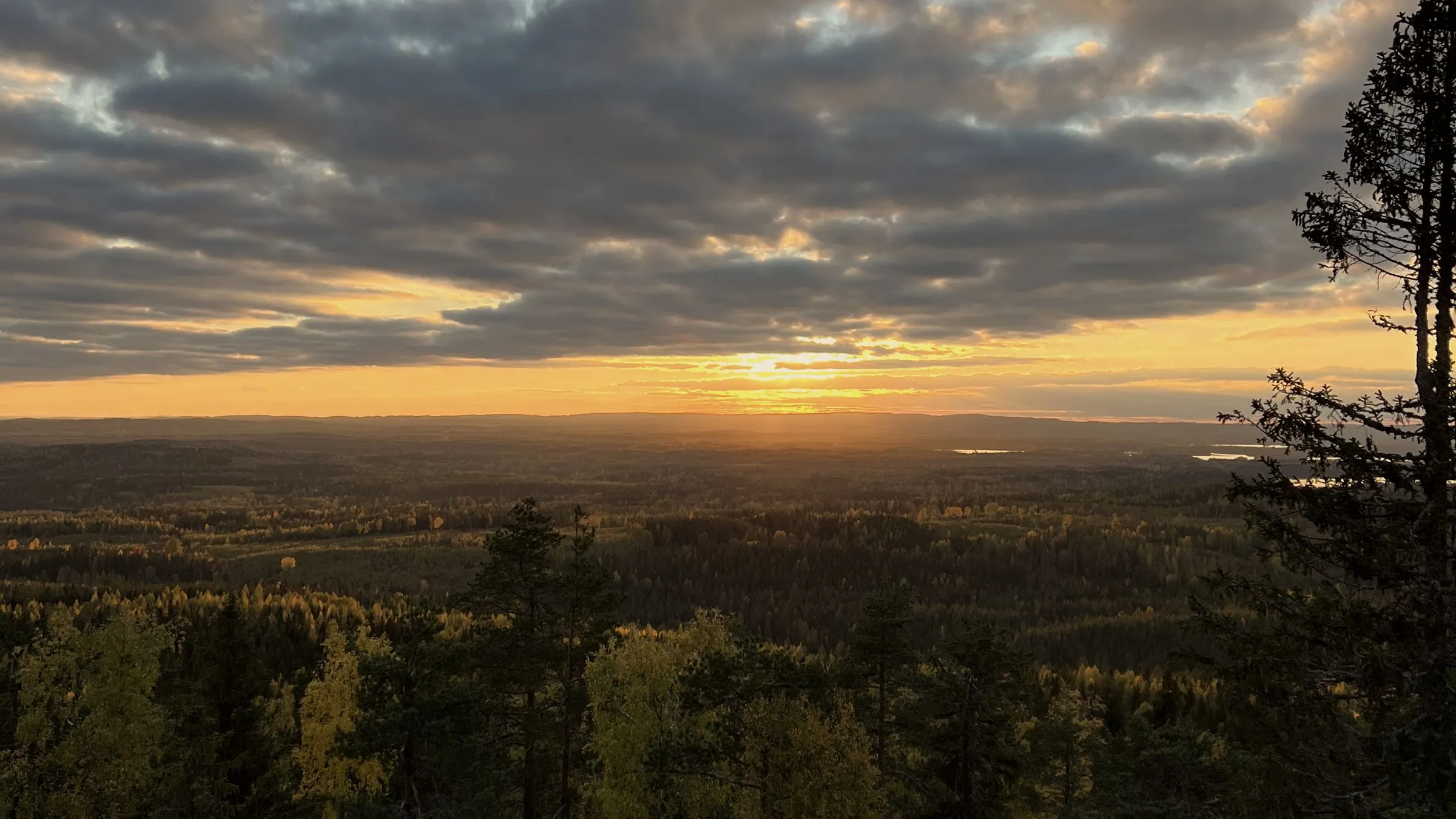 Metsäinen maisema ilta-auringossa näköalapaikalta